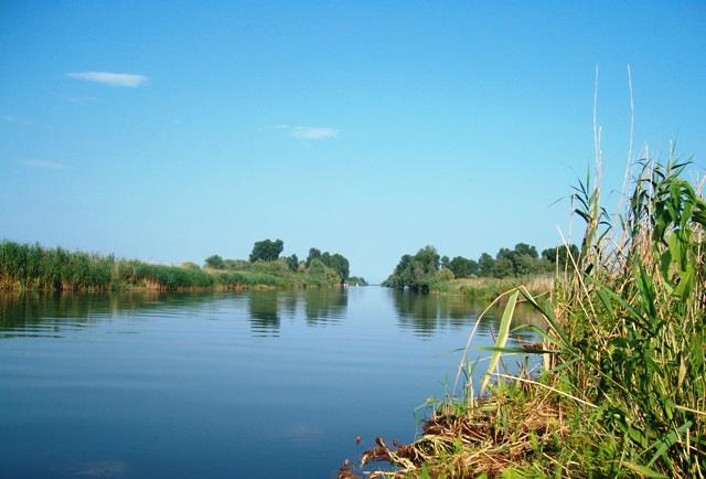 Doar ...  NATURA - sany0617.JPG